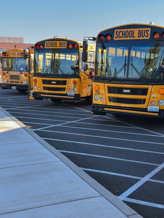 School bus fleet parked at a depot